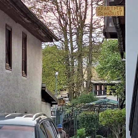 アパート Apartma Pr Marusi ボヴェツ